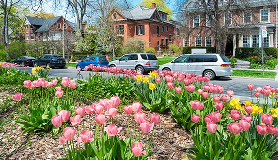 flower bed landscaping