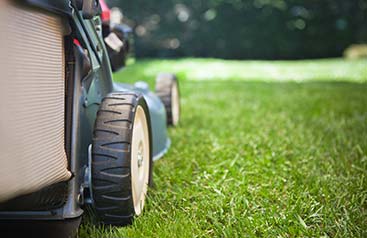 lawn mowing service