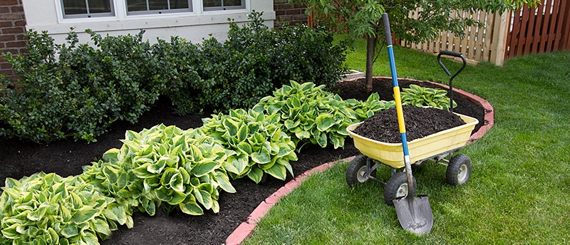 What is Landscape Maintenance & What are its Benefits?