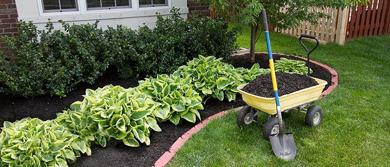 Gardening and landscaping services