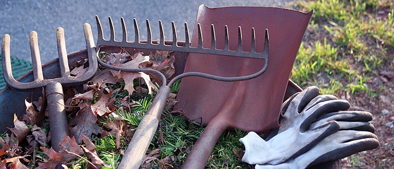 6 Steps for Spring Clean Up & Yard Maintenance
