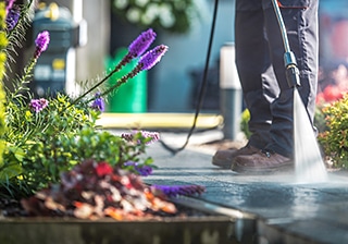 6 Steps for Spring Clean Up & Yard Maintenance