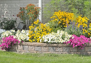 Landscape Construction Services