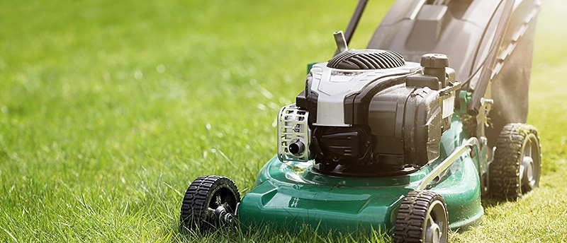 everything you need to know about lawn mowing f