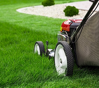 Everything You Need to Know About Lawn Mowing