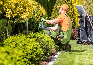 How Finding the Right Landscaping Company Can Help You