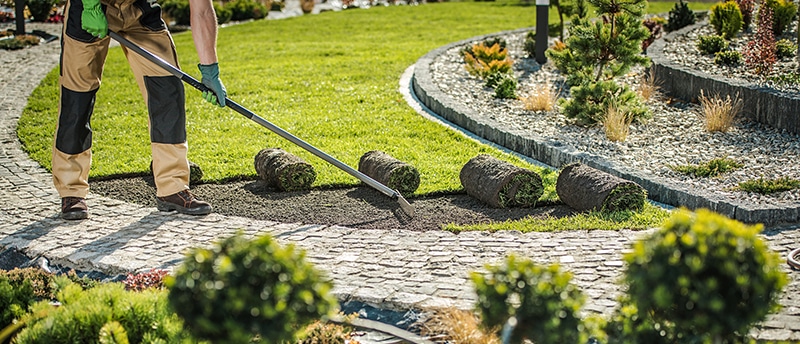 What Should You Ask a Landscaping Company When Hiring Them?