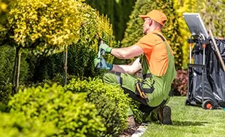 7 Questions to Ask a Landscaping Company Before Hiring Them