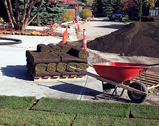 Sod Installation & Care: DIY Vs Professional Landscaping Services