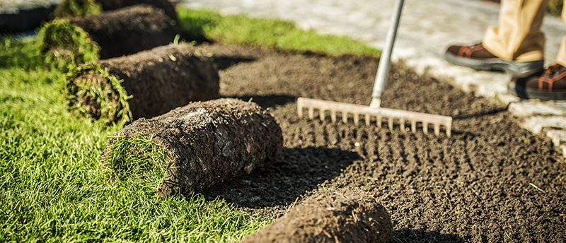 sod installation