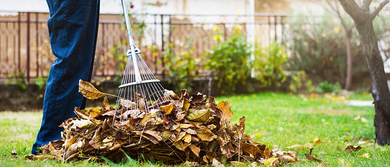 Why Must You Hire Property Maintenance Service for Fall Clean-Up