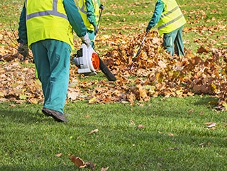 Why Hire Property Maintenance Services for Fall Clean-Up?