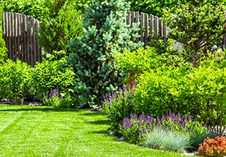 Landscape & Property Maintenance for Summer Months