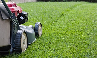 Garden Mowing