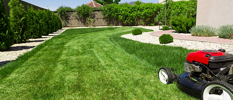 Lawn Care Services Lakeshore