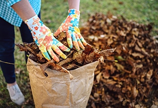 Fall Yard Clean-Up Services