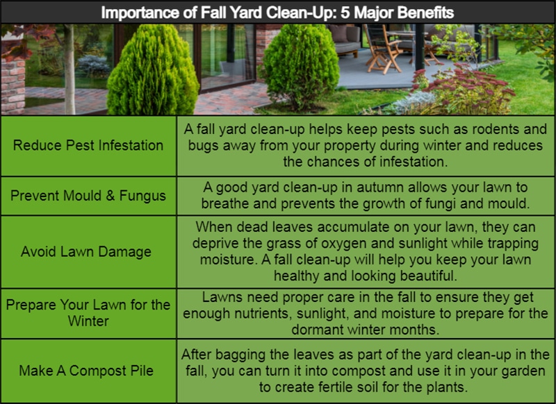Importance of Fall Yard Clean-up: 5 Major Benefits