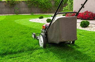 Lawn Mowing & Cutting Services