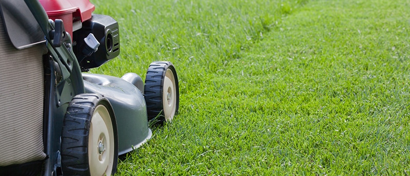 6 Important Tips of Lawn Mowing Service for Spring
