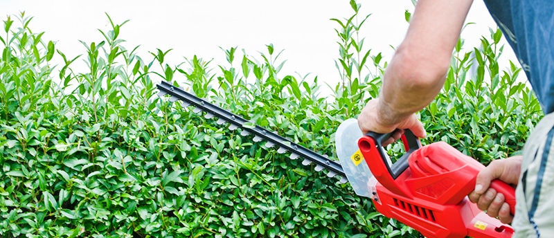 Common Property Mistakes You Need to Avoid