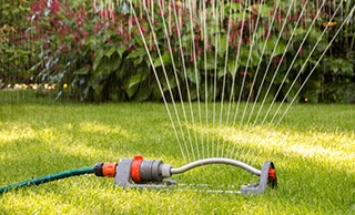 Guide to Grass Cutting in Summer