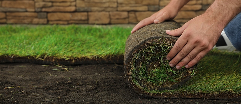 Sod Installation