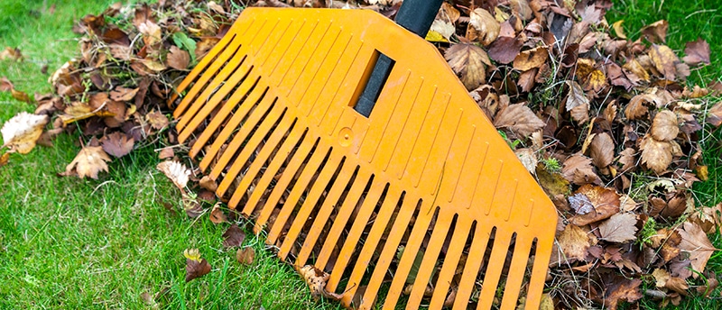 Tricks for Quick & Easy Fall Yard Clean Up