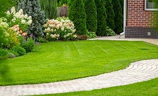 A Sod Installation Guide for New Lawns
