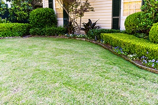 10 Signs It is Time for Sod Replacement