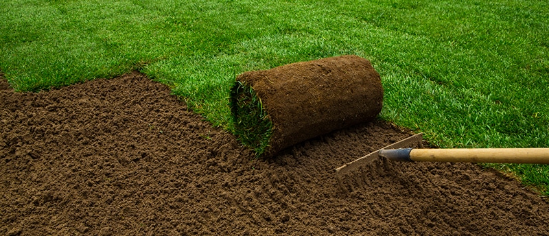 10 Signs Your Lawn Needs New Sod Installation 