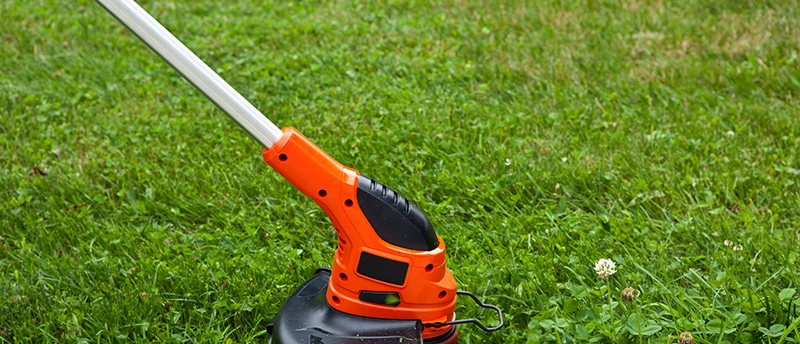 Essential Tools for Quick Spring Yard Cleanup
