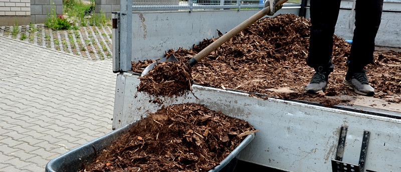 Mulch 101: Key Considerations for Smart Buying 