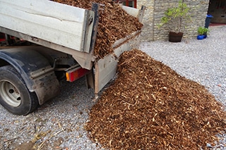 Essential Things You Need to Know Before Buying Mulch
