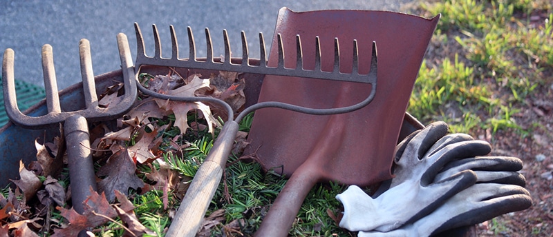 Tips & Tricks to Prepare for Spring Yard Cleanup 