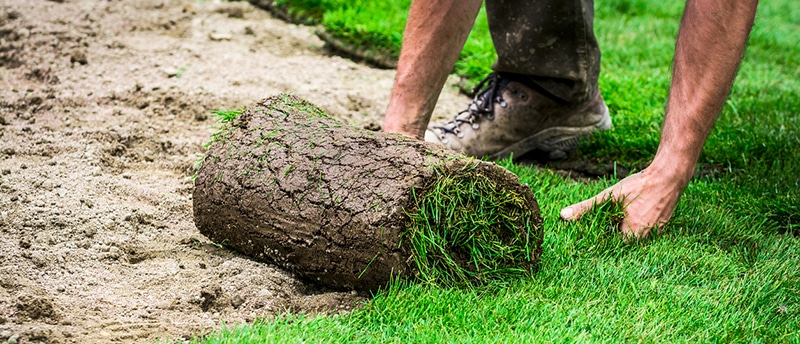 Sod Installation